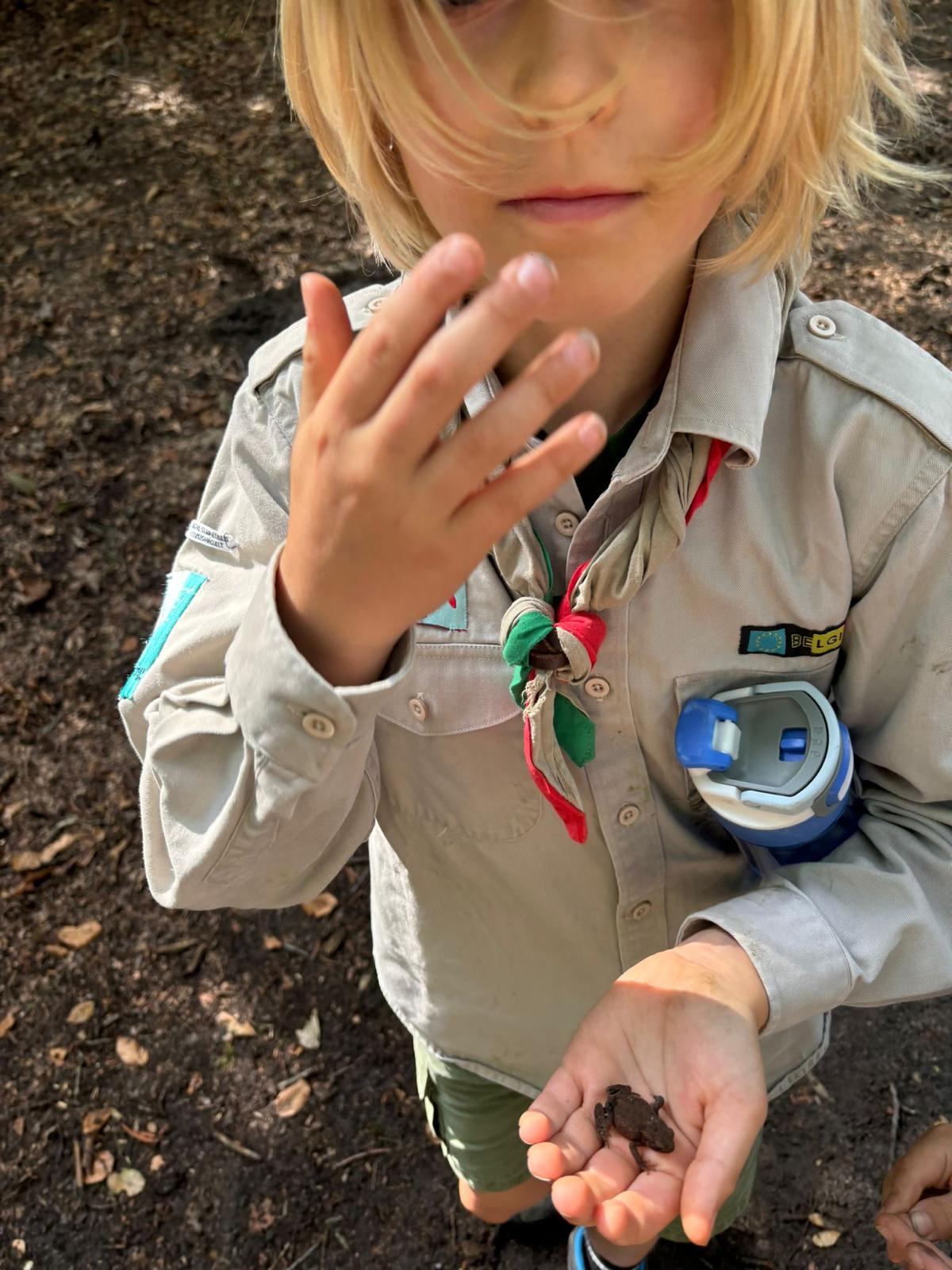 Sint-Martinus den XIIde - Opening 2024